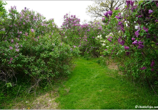 New Jersey - Rutgers Gardens 18