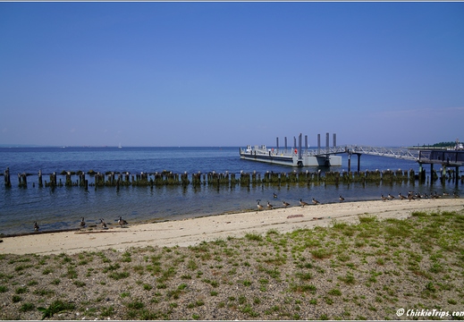 New Jersey - Sandy Hook - Gateway National Recreation Area 008