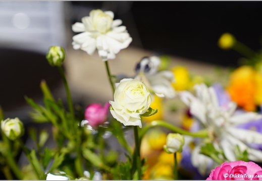 Flowers 05