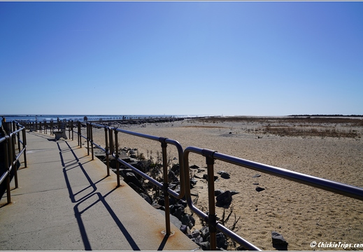 NJ Barnegat Light - Barnegat Lighthouse State Park 099