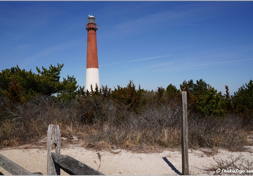 NJ Barnegat Light - Barnegat Lighthouse State Park 126