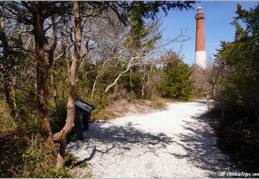 NJ Barnegat Light - Barnegat Lighthouse State Park 133