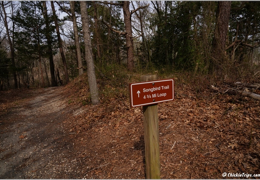 NJ Galloway - Edwin B Forsythe National Wildlife Refuge - Pinelands National Reserve 174