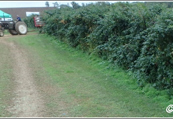 Von Thun Farm 007