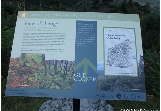 Whiteface Mountain 002