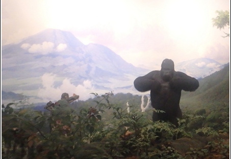 Central Park - Rockefeller - Natural History - Manhattan - Time Square 013