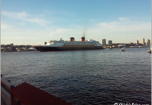 Intrepid 016