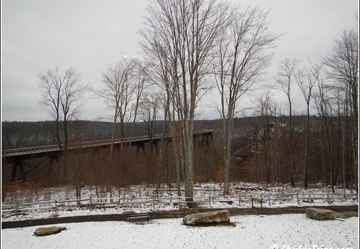 Kinzua Bridge State Park 006