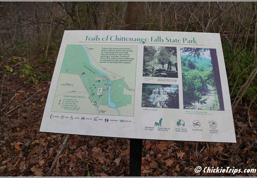 NY Chittenango Falls State Park - Cazenovia New York 00196