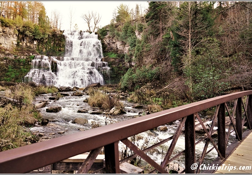 NY Chittenango Falls State Park - Cazenovia New York 00204