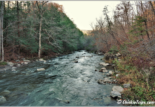 NY Chittenango Falls State Park - Cazenovia New York 00205