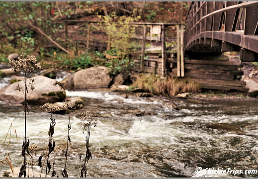 NY Chittenango Falls State Park - Cazenovia New York 00210