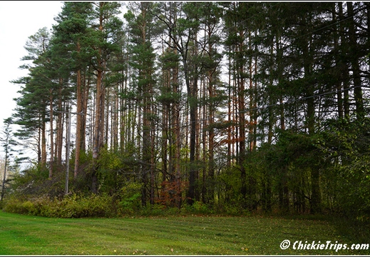 NY Pratts Falls Park - Manlius New York 00246