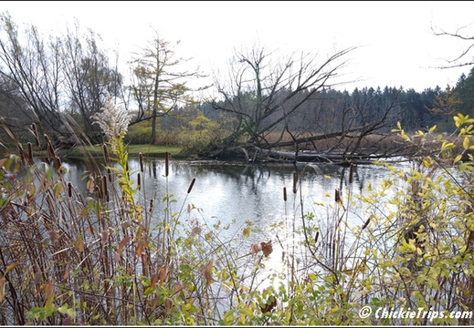 NY Pratts Falls Park - Manlius New York 00251