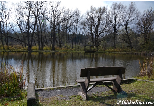 NY Pratts Falls Park - Manlius New York 00265