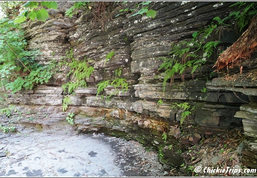 Eagle Cliff Falls at Havana Glen Park 006