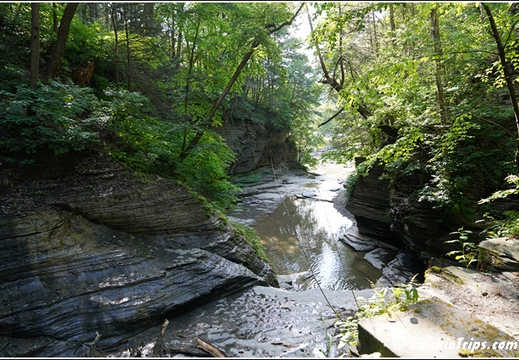 Eagle Cliff Falls at Havana Glen Park 009