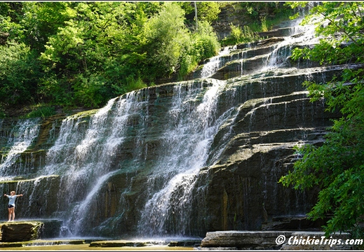 Hector Falls 007