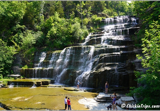 Hector Falls 008