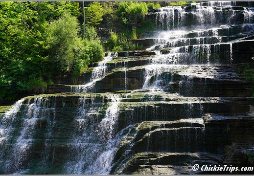 Hector Falls 009