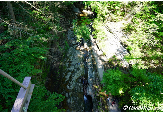 Watkin Glen South Rim Trail 014