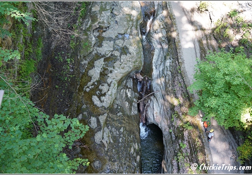 Watkin Glen South Rim Trail 015