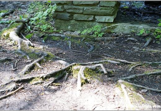 Watkin Glen South Rim Trail 019