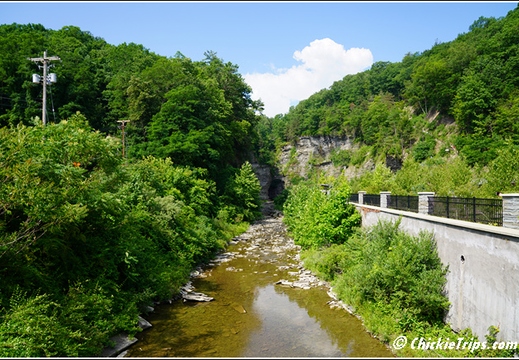 Watkin Glen South Rim Trail 032