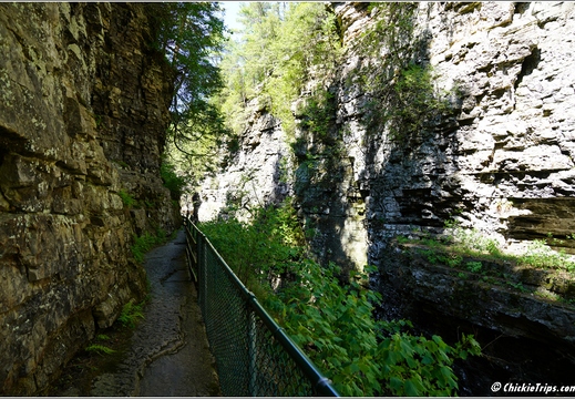New York - Ausable Chasm 50