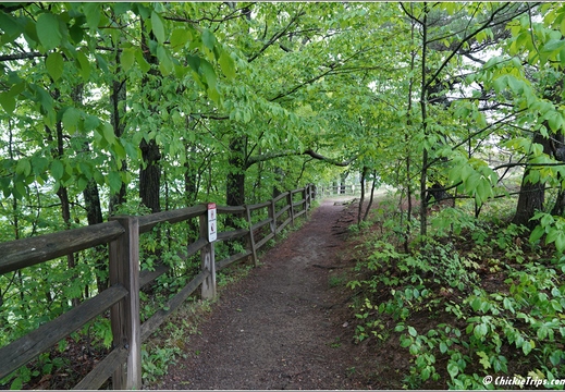 New York - John Boyd Thacher State Park 20