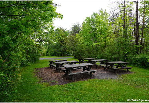 New York - John Boyd Thacher State Park 36