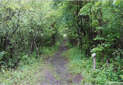 New York - John Boyd Thacher State Park 43
