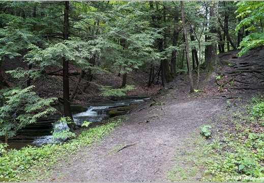 New York - John Boyd Thacher State Park 51