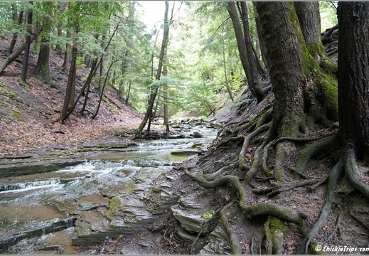 New York - John Boyd Thacher State Park 55
