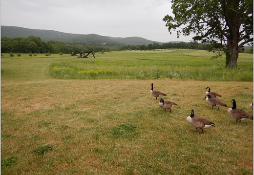 New York - Storm King Art Center 06
