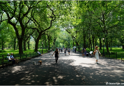 New York - Central Park Zoo 00079