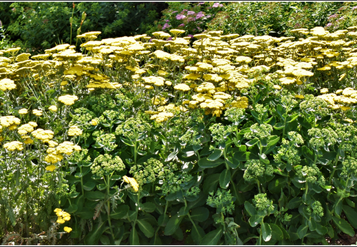 New York - One World Observatory 0029