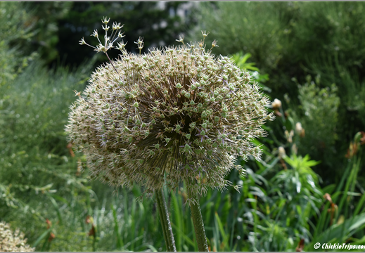 New York - One World Observatory 0033