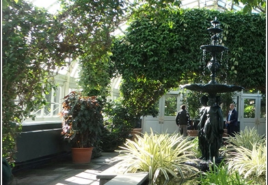New York Botanical Garden 005