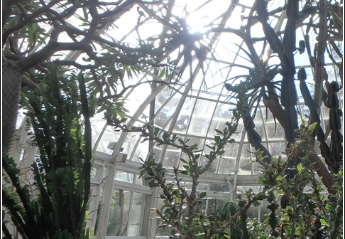 New York Botanical Garden 015
