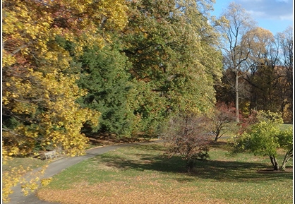 New York Botanical Garden 023