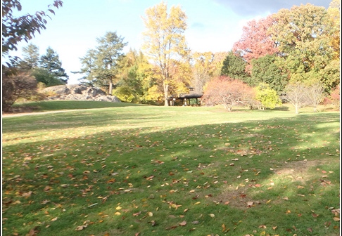 New York Botanical Garden 025