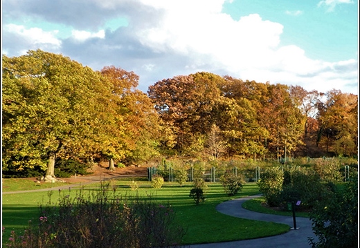 New York Botanical Garden 031