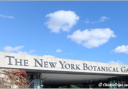 New York Botanical Garden Trip 001