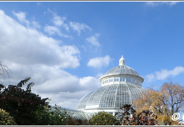 New York Botanical Garden Trip 002