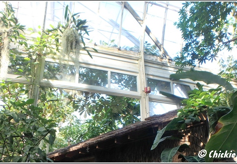 New York Botanical Garden Trip 005
