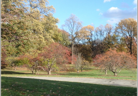 New York Botanical Garden Trip 018