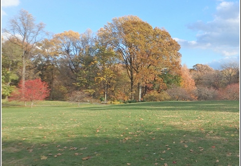 New York Botanical Garden Trip 019