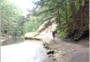 Saratoga Spa State Park - Geyser Creek Trail 004