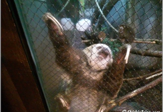 Staten Island Zoo 032